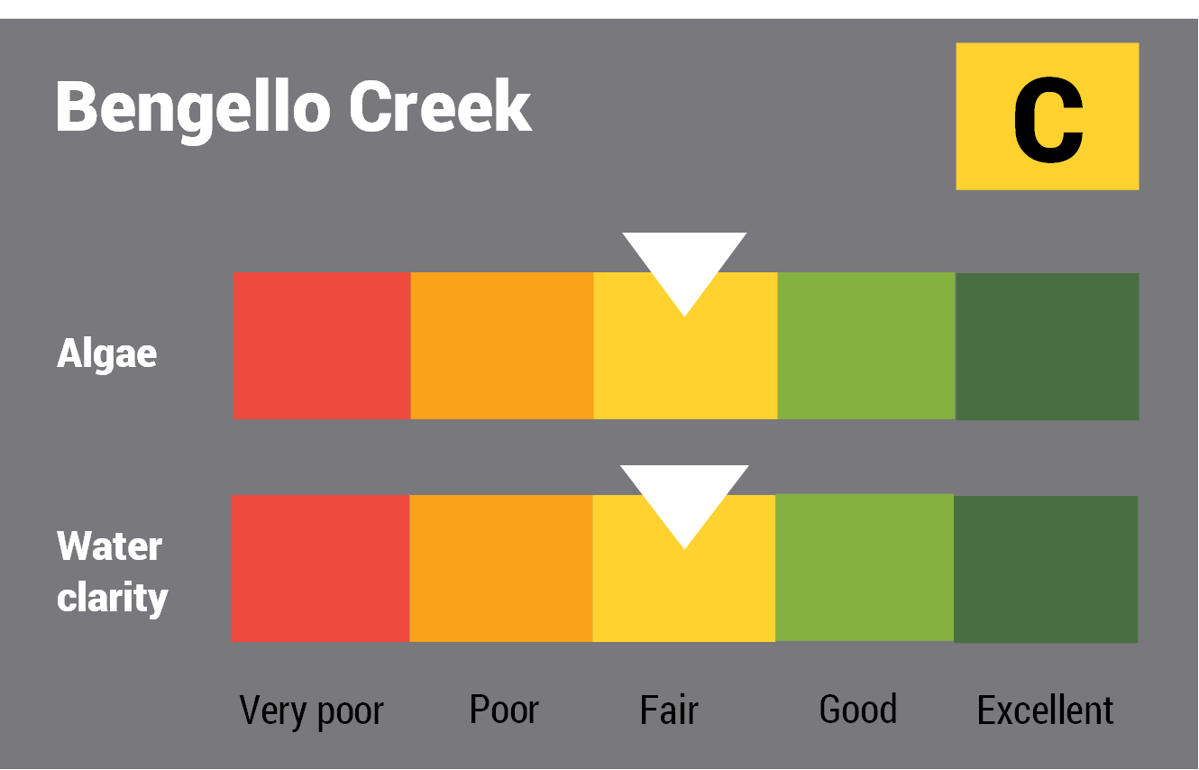 Bengello Creek water quality report card for algae and water clarity showing colour-coded ratings (red, orange, yellow, light green and dark green, which represent very poor, poor, fair, good and excellent, respectively). Algae is rated 'fair' and water clarity is rated 'fair' giving an overall rating of 'fair' or 'C'.