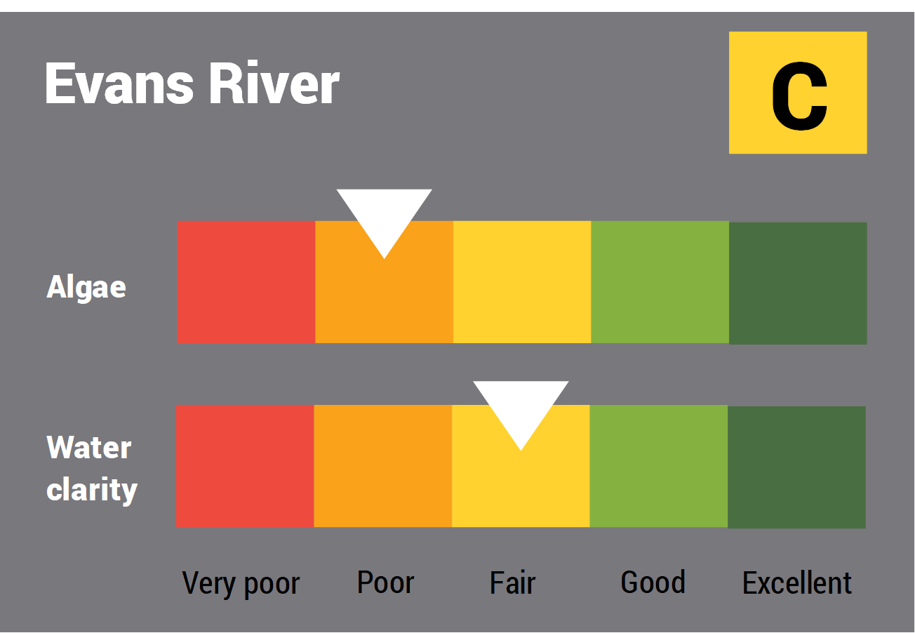 Evans River water quality report card for algae and water clarity showing colour-coded ratings (red, orange, yellow, light green and dark green, which represent very poor, poor, fair, good and excellent, respectively). Algae is rated 'poor' and water clarity is rated 'fair' giving an overall rating of 'fair' or 'C'.