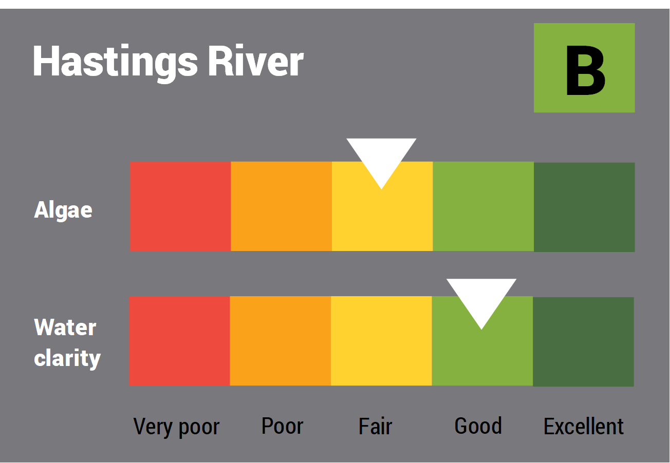 Hastings River water quality report card for algae and water clarity showing colour-coded ratings (red, orange, yellow, light green and dark green, which represent very poor, poor, fair, good and excellent, respectively). Algae is rated 'fair' and water clarity is rated 'good' giving an overall rating of 'good' or 'B'.