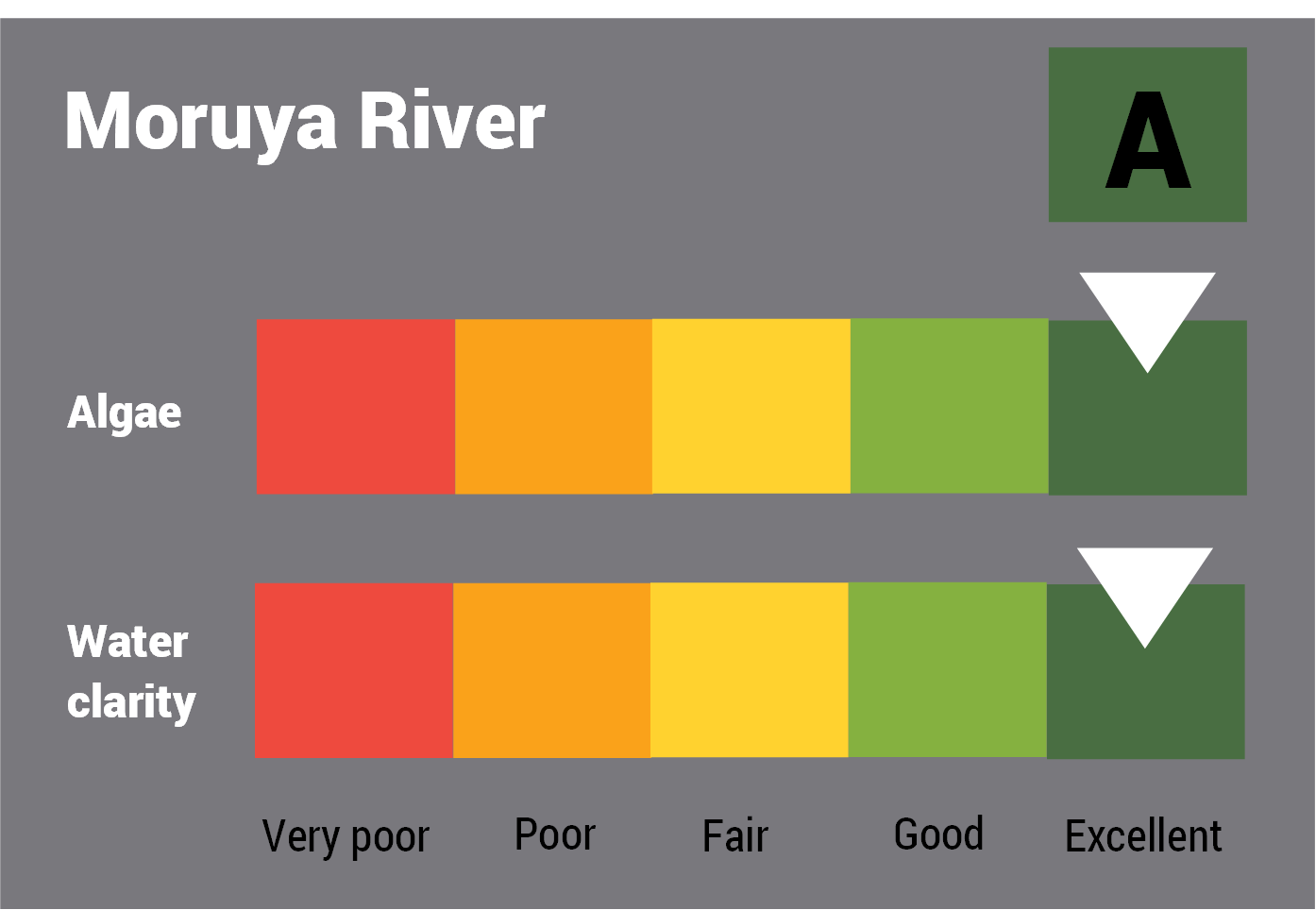 Moruya River water quality report card for algae and water clarity showing colour-coded ratings (red, orange, yellow, light green and dark green, which represent very poor, poor, fair, good and excellent, respectively). Algae is rated 'good' and water clarity is rated 'excellent' giving an overall rating of 'good' or 'B'.