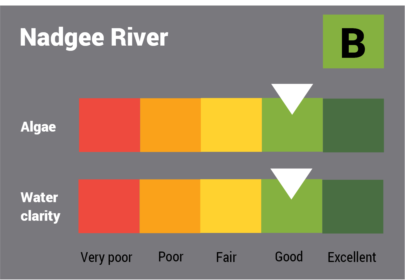 Nadgee River water quality report card for algae and water clarity showing colour-coded ratings (red, orange, yellow, light green and dark green, which represent very poor, poor, fair, good and excellent, respectively). Algae is rated 'good' and water clarity is rated 'good' giving an overall rating of 'good' or 'B'.