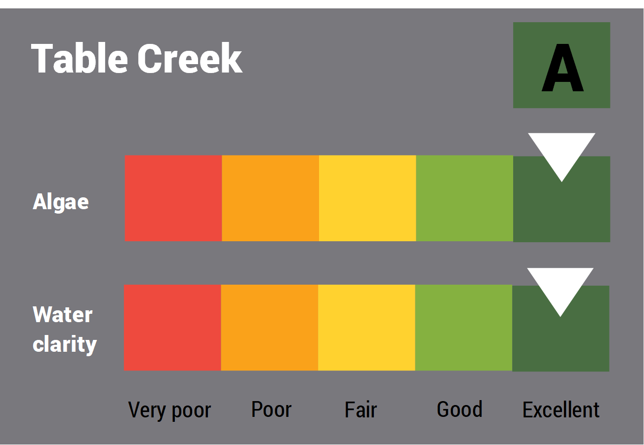 Table Creek water quality report card for algae and water clarity showing colour-coded ratings (red, orange, yellow, light green and dark green, which represent very poor, poor, fair, good and excellent, respectively). Algae is rated 'excellent' and water clarity is rated 'excellent' giving an overall rating of 'excellent' or 'A'.