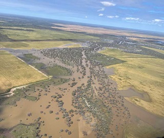 The Namoi River flooding its floodplain 