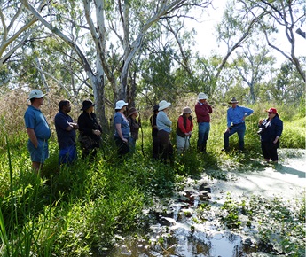 Macquarie Cudgegong Environmental Flows Reference Group in the field