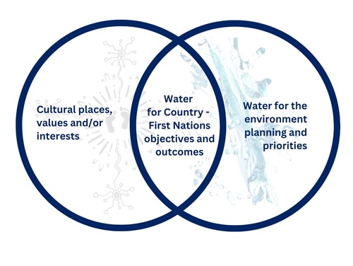 First Nations people's priorities in water management in the Snowy and montane rivers