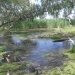 Semi permanent wetland under river red gums in the Macquarie Marshes Nature Reserve