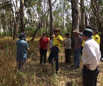 Murray Lower Darling Environmental Water Advisory Group in the field