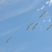 Pelicans soar over Paika Lake, Narwie
