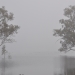 Mist over Piggery Lake, Yanga National Park