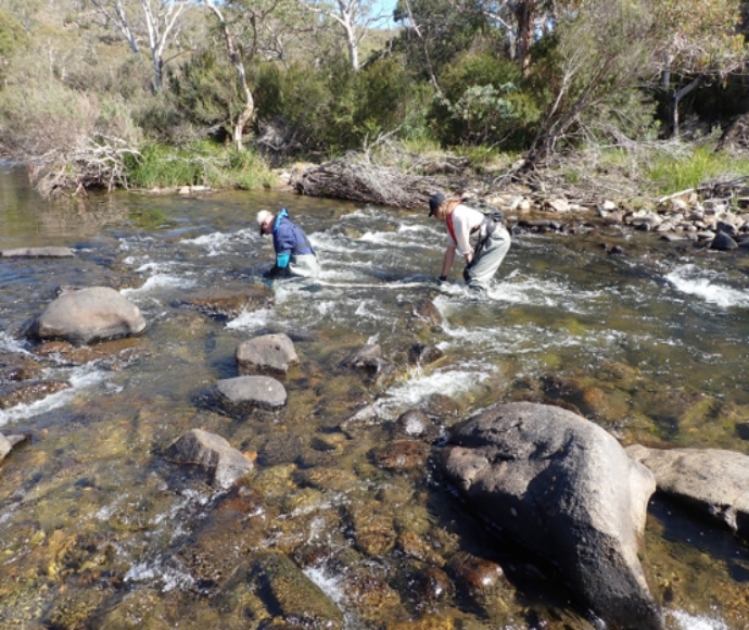 Department of Planning and Environment scientists monitoring for water bugs in the Snowy River below Jindabyne