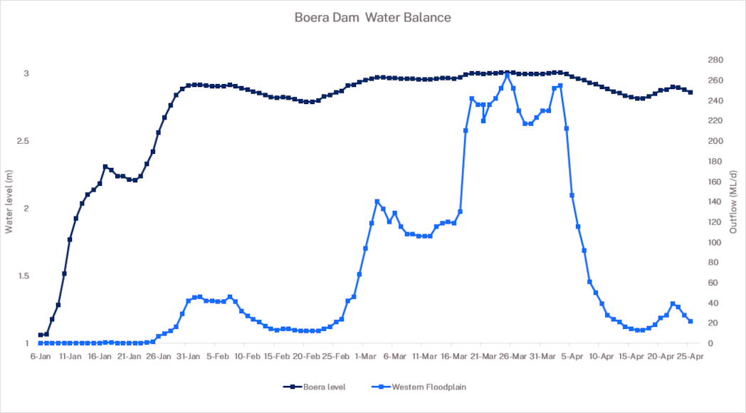 Graph showing water levels in the western floodplain in blue and in the Boera dam in black.