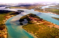 Acid sulfate soils are widespread along our estuarine floodplains and coastal lowlands. Photo: Mitch Tulau. Acid sulfate soils are widespread along our estuarine floodplains and coastal lowlands. Photo: Mitch Tulau.
