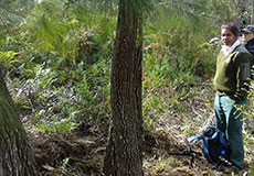Aboriginal Discovery Ranger Cathy Thomas assisting with the survey Aboriginal Discovery Ranger Cathy Thomas assisting with the survey