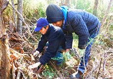 Yuin and Angela finding koala pellets Yuin and Angela finding koala pellets