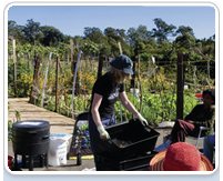 Community gardening workshop. Matt Lauder/DECCW