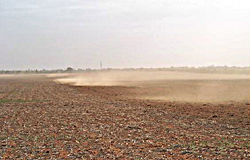 Adequate groundcover on left – no erosion; below cover target on right – eroding