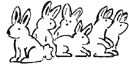 Rabbits. Image: NPWS