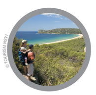 Sydney beach landscape