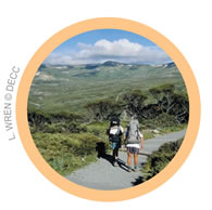 Hikers in the wilderness
