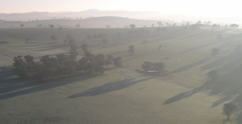 cultural management definition