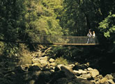 Minnamurra Rainforest Centre