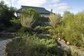 Mt Wood Homestead