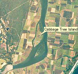 Cabbage Tree Island Map Cabbage Tree Island Map