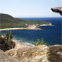 Gerrin Point and Putty Beach in Bouddi National Park (Image: David Kelly/DECCW) Gerrin Point and Putty Beach in Bouddi National Park (Image: David Kelly/DECCW)