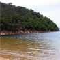 Lobster Beach in Bouddi National Park (Image: Deb Holloman/DECCW) Lobster Beach in Bouddi National Park (Image: Deb Holloman/DECCW)