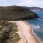 Tallow Beach in Bouddi National Park (Image: Joel Winter/DECCW) Tallow Beach in Bouddi National Park (Image: Joel Winter/DECCW)