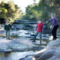 At the top of Somersby Falls in Brisbane Water National Park (Image: Evolving Images/DECCW) At the top of Somersby Falls in Brisbane Water National Park (Image: Evolving Images/DECCW)