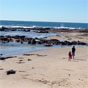 Woody Head in Bundjalung National Park (Image: L Feltus/OEH) Woody Head in Bundjalung National Park (Image: L Feltus/OEH)