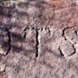 Graffitti carved by the convicts who constructed the Old Great North Road, Dharug National Park (Image: Susan Davis/OEH) Graffitti carved by the convicts who constructed the Old Great North Road, Dharug National Park (Image: Susan Davis/OEH)