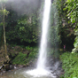 Crystal Shower Falls in Dorrigo National Park look spectacular all year round (Image: Barbara Webster/DECCW) Crystal Shower Falls in Dorrigo National Park look spectacular all year round (Image: Barbara Webster/DECCW)