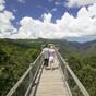 The Skywalk at Dorrigo National Park (Image: Hamilton Lund/TNSW) The Skywalk at Dorrigo National Park (Image: Hamilton Lund/TNSW)