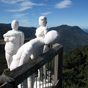 A student arts project is photographed on the Skywalk, Dorrigo National Park (Image: Kathryn Wood/DECCW) A student arts project is photographed on the Skywalk, Dorrigo National Park (Image: Kathryn Wood/DECCW)