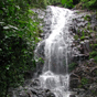 Tristania Falls is the second waterfall you pass on the Wonga Walk, Dorrigo National Park (Image: Barbara Webster/DECCW) Tristania Falls is the second waterfall you pass on the Wonga Walk, Dorrigo National Park (Image: Barbara Webster/DECCW)