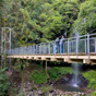 The Wonga Walk takes you over Crystal Shower Falls on the new suspension bridge, Dorrigo National Park (Image: Michael van Ewijk) The Wonga Walk takes you over Crystal Shower Falls on the new suspension bridge, Dorrigo National Park (Image: Michael van Ewijk)