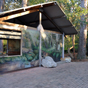 The shelter shed at Greenfields Beach, Jervis Bay National Park (Image: Beth Boughton/DECCW) The shelter shed at Greenfields Beach, Jervis Bay National Park (Image: Beth Boughton/DECCW)