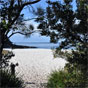 The White Sands Walk in Jervis Bay National Park (Image: Beth Boughton/DECCW) The White Sands Walk in Jervis Bay National Park (Image: Beth Boughton/DECCW)