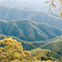 View from Point Lookout in New England National Park (Image: Michael van Ewijk/DECCW) View from Point Lookout in New England National Park (Image: Michael van Ewijk/DECCW)