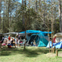 Thungutti campground in New England National Park (Image: B Webster/DECCW) Thungutti campground in New England National Park (Image: B Webster/DECCW)