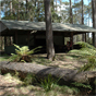 Thungutti campground in New England National Park (Image: B Webster/DECCW) Thungutti campground in New England National Park (Image: B Webster/DECCW)