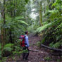 Wilderness Walk in New England National Park (Image: Barbara Webster/DECCW) Wilderness Walk in New England National Park (Image: Barbara Webster/DECCW)