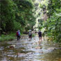 Wilderness Walk in New England National Park (Image: Barbara Webster/DECCW) Wilderness Walk in New England National Park (Image: Barbara Webster/DECCW)
