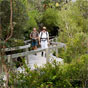 Wilsons Headland Walk, Illaroo to Wooli section of Yuraygir Coastal Walk (Image: Debra Novak/DECCW) Wilsons Headland Walk, Illaroo to Wooli section of Yuraygir Coastal Walk (Image: Debra Novak/DECCW)