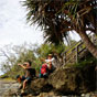Boorkoom stairs, Illaroo to Wooli section of the Yuraygir Coastal Walk (Image: Debra Novak/DECCW) Boorkoom stairs, Illaroo to Wooli section of the Yuraygir Coastal Walk (Image: Debra Novak/DECCW)