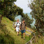 Wilsons Headland walk lookout, Illaroo to Wooli section of the Yuraygir Coast Walk (Image: Debra Novak/DECCW) Wilsons Headland walk lookout, Illaroo to Wooli section of the Yuraygir Coast Walk (Image: Debra Novak/DECCW)