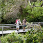 Walking near Wilsons Headland lookout, Illaroo to Wooli section of the Yuraygir Coastal Walk (Image: Debra Novak/DECCW) Walking near Wilsons Headland lookout, Illaroo to Wooli section of the Yuraygir Coastal Walk (Image: Debra Novak/DECCW)