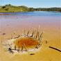 Lake Arragan, Yuraygir National Park (Image: Debra Novak/DECCW) Lake Arragan, Yuraygir National Park (Image: Debra Novak/DECCW)